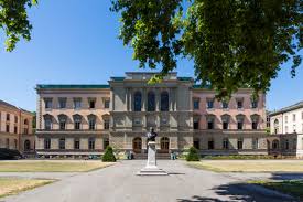Mansoura University